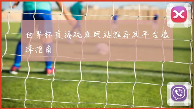 世界杯直播观看网站推荐及平台选择指南
