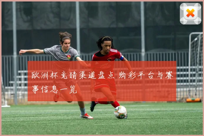 欧洲杯竞猜渠道盘点 购彩平台与赛事信息一览