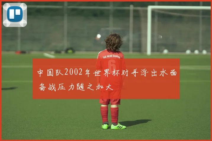 中国队2002年世界杯对手浮出水面 备战压力随之加大