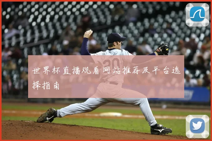 世界杯直播观看网站推荐及平台选择指南