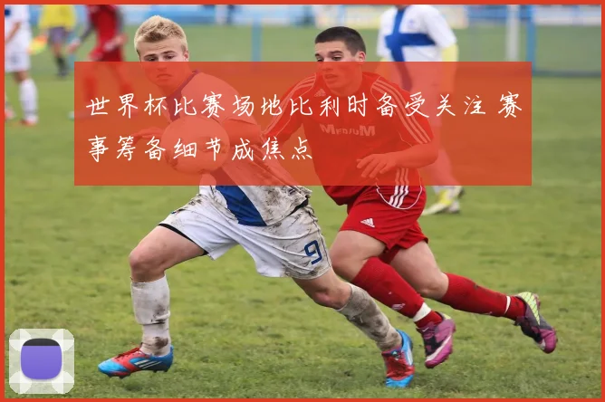 世界杯比赛场地比利时备受关注 赛事筹备细节成焦点
