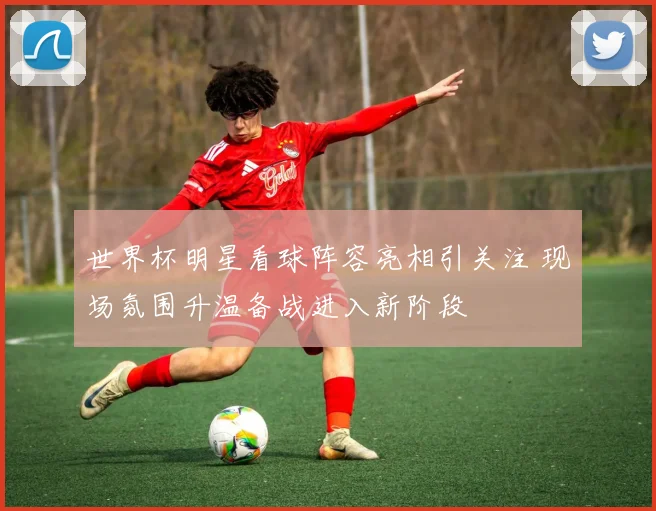 世界杯明星看球阵容亮相引关注 现场氛围升温备战进入新阶段
