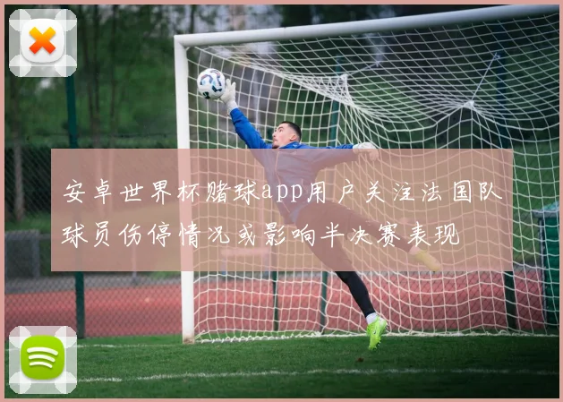 安卓世界杯赌球app用户关注法国队球员伤停情况或影响半决赛表现