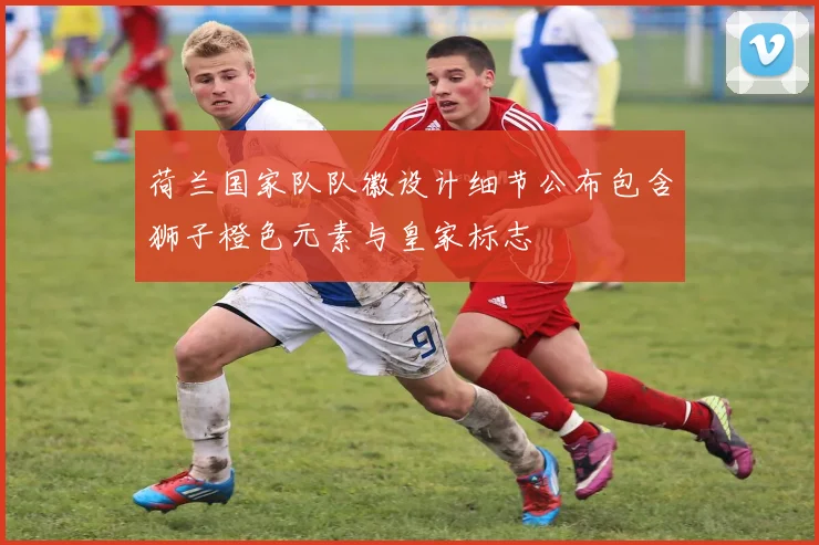 荷兰国家队队徽设计细节公布包含狮子橙色元素与皇家标志