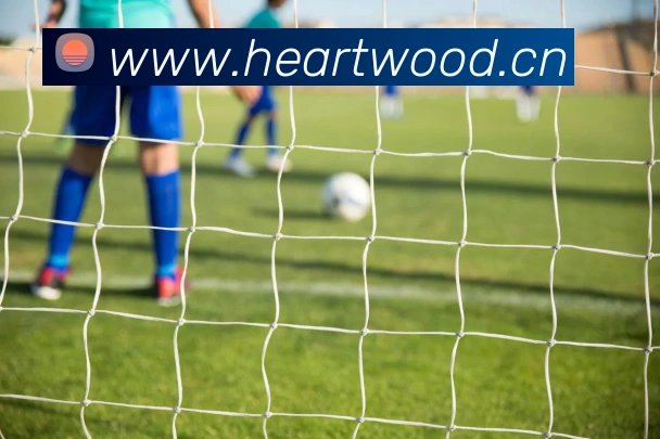 开云综合app官网登录品牌故事