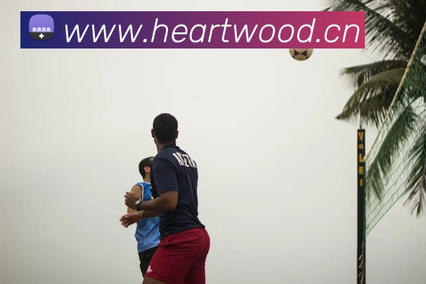 开云综合app官网登录服务体系